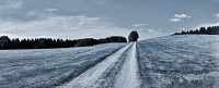 Wanderweg Wanderweg
