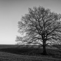 Fotowalk am Heckberg-ST-10
