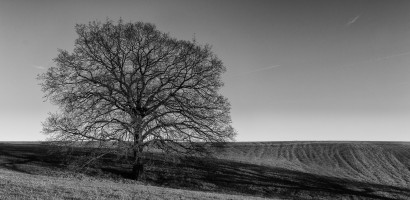 Fotowalk am Heckberg-ST-6