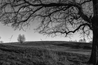 Fotowalk am Heckberg-ST-8