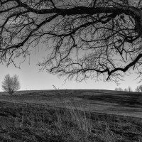 Fotowalk am Heckberg-ST-8
