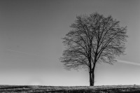 Fotowalk am Heckberg-ST-9