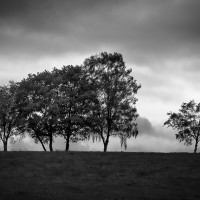 HM  Rund um Much Landschaft 00096