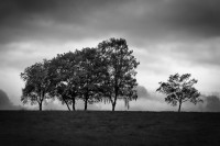 HM  Rund um Much Landschaft 00096