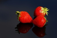 Lecker-Trio-zum Vernaschen