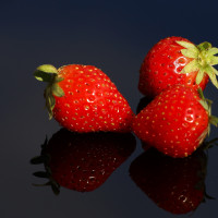 Lecker-Trio-zum Vernaschen