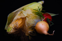 Lecker-Zutaten für einen herbstlichen Eintopf 