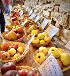 Vielfalt einfach eine gute Entscheidung 