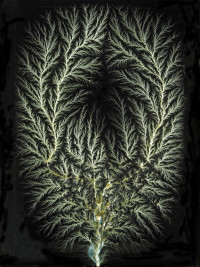 Jürgen Uhl - Einschlag PB100232