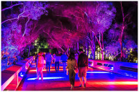 Lichtspiele_Andrew_2