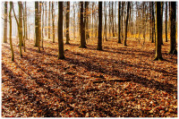 Lichtspiele_Andrew_3