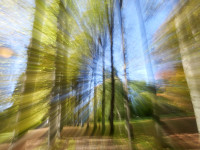 Monika-GraszynskiP1580044