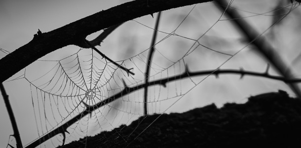 Linien
