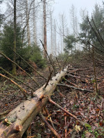 roter punkt realisiert