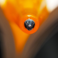 Schreibgerät Schreibgerät