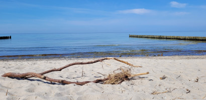 Ostsseestrand Ostsseestrand