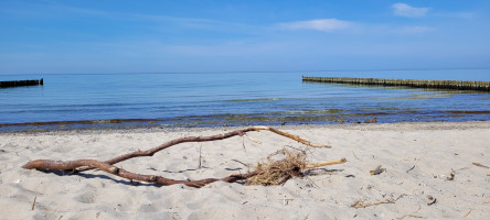 Ostsseestrand Ostsseestrand