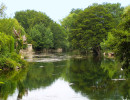 la sorgue