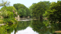 la sorgue