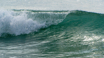 wasser wasser