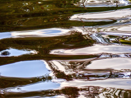 wasser wasser