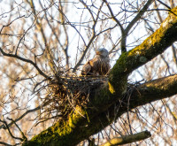 2025.03.08 milan0003530