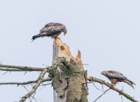 202503.24 milan00023