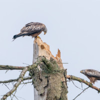 202503.24 milan00023