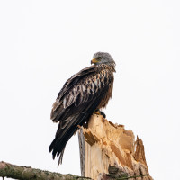 202503.24 milan0005574