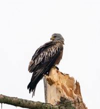 202503.24 milan0005574