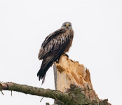 202503.24 milan0005666