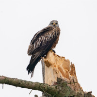 202503.24 milan0005666