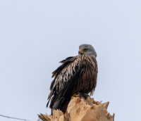 202503.24 milan000573