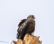 202503.24 milan0005862