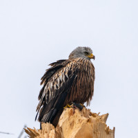 202503.24 milan0005862