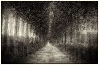 20260320 dxo deepprime xd3 bearbeitet bearbeitet