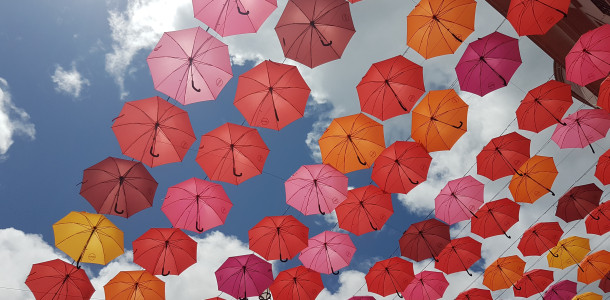 Momentaufnahmen März 2026