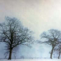 Anke Brüggehagen - Monochrome 2