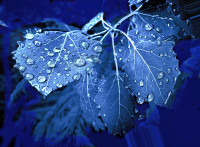 Helmut May - Monochrom