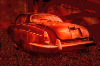 May Auto1 May Auto1
