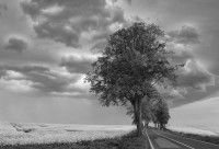 unterwegs nach Mönkebude