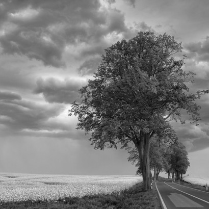 unterwegs nach M&ouml;nkebude
