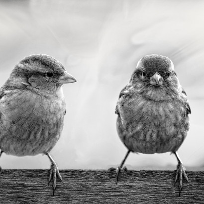 Was will er von mir ?