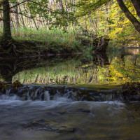 Der Wahnbach - Natur in Much!