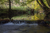 Der Wahnbach - Natur in Much! Der Wahnbach - Natur in Much!