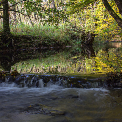 Der Wahnbach - Natur in Much! Der Wahnbach - Natur in Much!