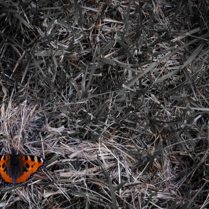 Einer ist noch da...