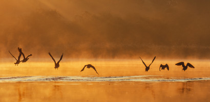 Frühstart am Herrenteich