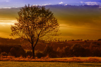 Herbstlichter Herbstlichter