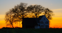 The House Of The Rising Sun The House Of The Rising Sun